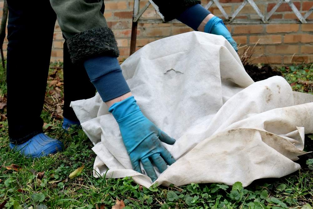 Person covering up plants